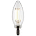 Satco S21267 Light Bulb, Clear Main Image.jpg