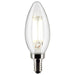 Satco S21275 Light Bulb, Clear Main Image.jpg