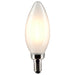 Satco S21279 Light Bulb, Frost Main Image.jpg