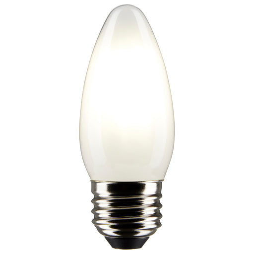 Satco S21287 Light Bulb, Frost Main Image.jpg