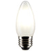 Satco S21287 Light Bulb, Frost Main Image.jpg