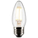 Satco S21291 Light Bulb, Clear Main Image.jpg