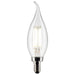 Satco S21297 Light Bulb, Clear Main Image.jpg