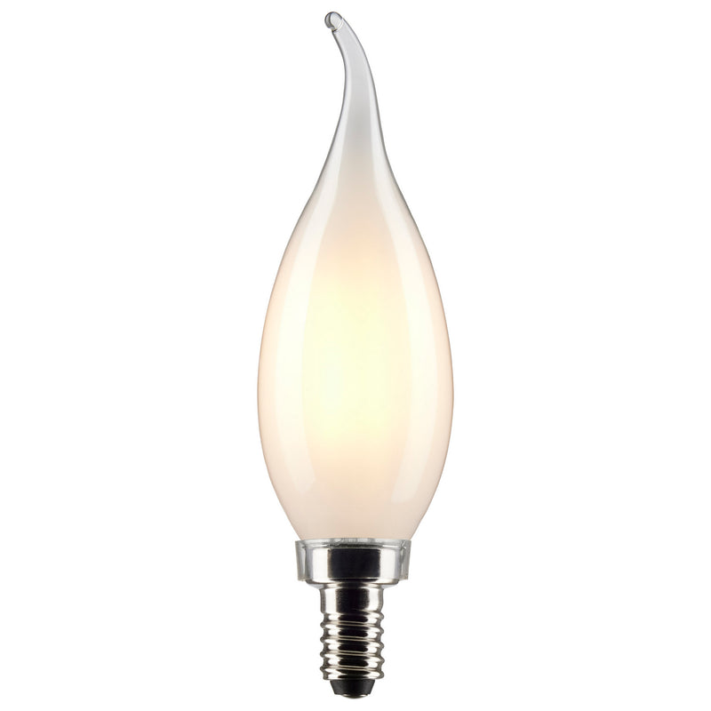Satco S21301 Light Bulb, Frost Main Image.jpg