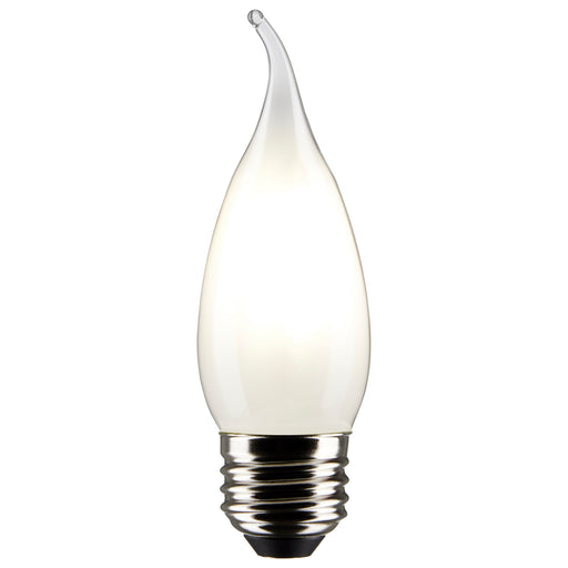 Satco S21315 Light Bulb, Frost Main Image.jpg
