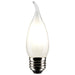Satco S21316 Light Bulb, Frost Main Image.jpg