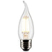 Satco S21319 Light Bulb, Clear Main Image.jpg