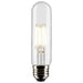 Satco S21347 Light Bulb, Clear Main Image.jpg