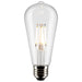 Satco S21362 Light Bulb, Clear Main Image.jpg