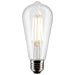 Satco S21363 Light Bulb, Clear Main Image.jpg