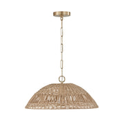Capital Lighting 347511MA Naomi One Light Pendant, Matte Brass Main Image.jpg