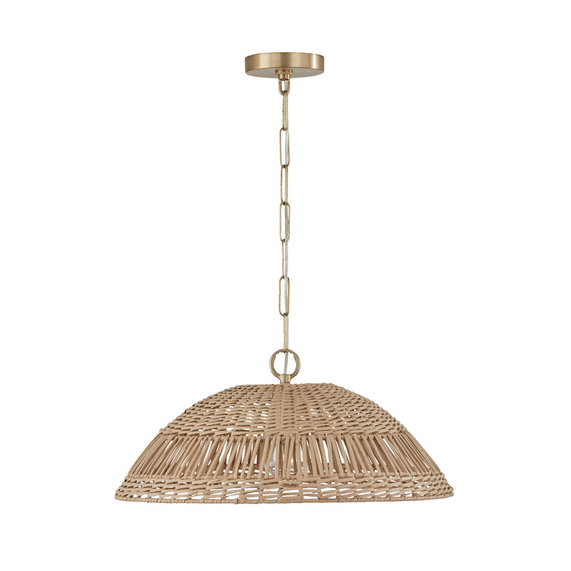 Capital Lighting 347511MA Naomi One Light Pendant, Matte Brass Main Image.jpg