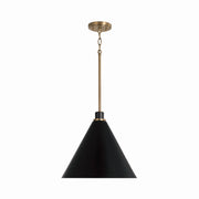 Capital Lighting 350112AB One Light Pendant, Aged Brass and Black