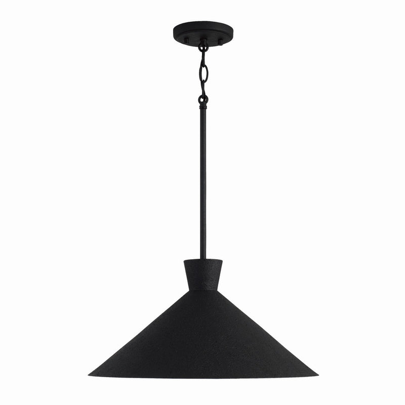 Capital Lighting 350312XK Paloma One Light Pendant, Textured Black Main Image.jpg