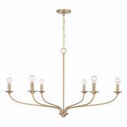Capital Lighting 449961MA Dolan Six Light Chandelier, Matte Brass Main Image.jpg