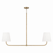Capital Lighting 849421AD Brody Two Light Island Pendant, Aged Brass Main Image.jpg