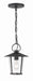 Crystorama AND-9203-CL-MK Andover One Light Outdoor Chandelier Matte Black Main Image.jpg