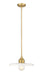 Z-Lite 820P14-OBR Paloma One Light Pendant, Olde Brass Main Image.jpg