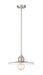 Z-Lite 821P14-BN Paloma One Light Pendant, Brushed Nickel Main Image.jpg