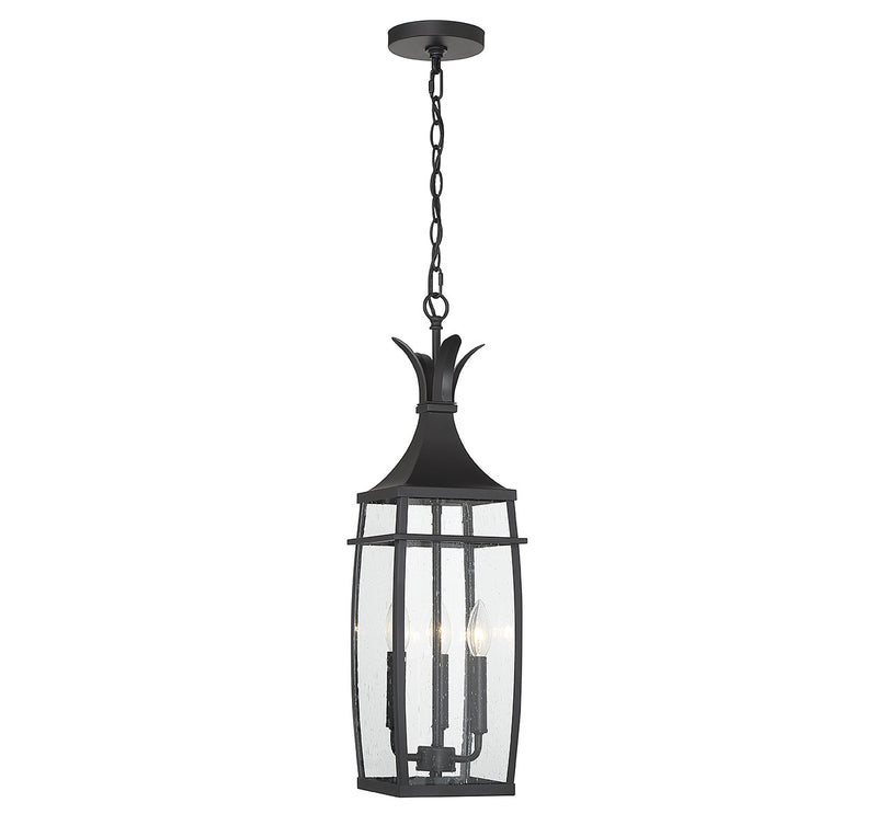 Savoy House 5-763-BK Three Light Outdoor Hanging Lantern, Matte Black
