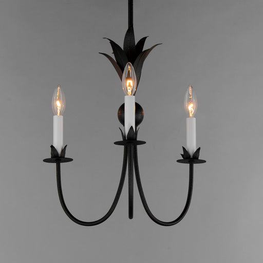 Maxim 2883AR Paloma Three Light Chandelier, Anthracite Alternate Image.jpg