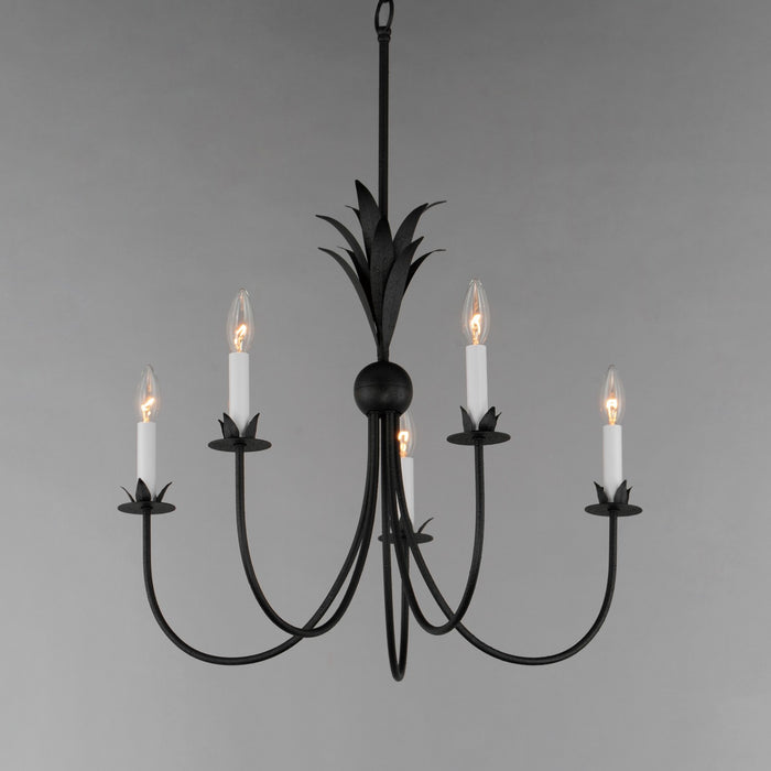 Maxim 2885AR Paloma Five Light Chandelier, Anthracite Alternate Image.jpg