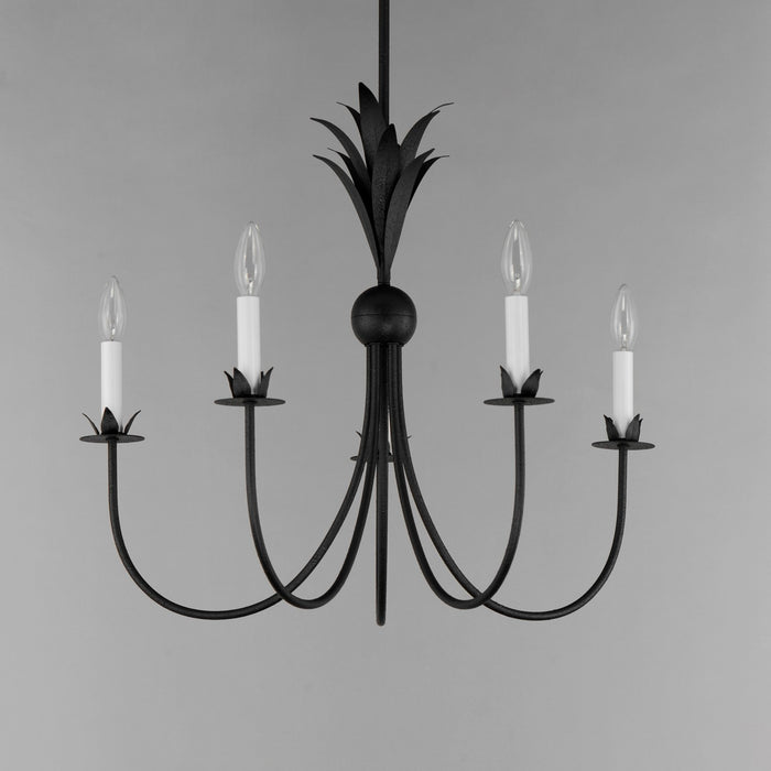 Maxim 2885AR Paloma Five Light Chandelier, Anthracite Alternate Image 3.jpg