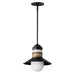 Maxim 35121SWBKAB Admiralty One Light Outdoor Pendant, Black / Antique Brass Main Image.jpg