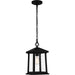 Quoizel SAT1909MBK Satterfield One Light Outdoor Hanging Lantern, Matte Black Main Image.jpg