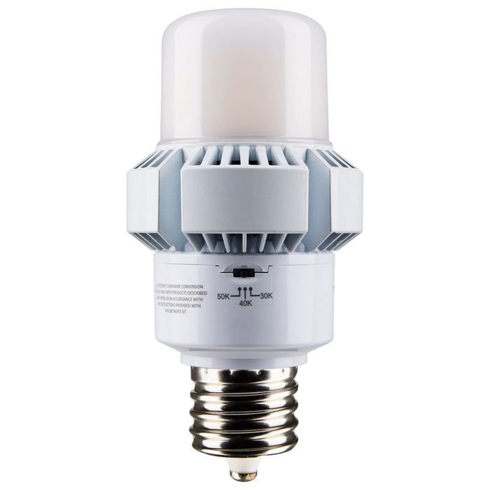 Satco S13163 Light Bulb, White Main Image.jpg