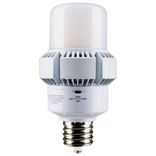 Satco S13165 Light Bulb, White Main Image.jpg