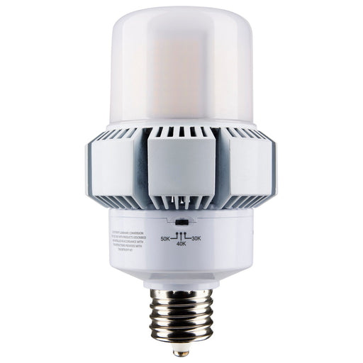Satco S13167 Light Bulb, White Main Image.jpg