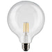 Satco S21248 Light Bulb, Clear Main Image.jpg