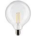 Satco S21258 Light Bulb, Clear Main Image.jpg
