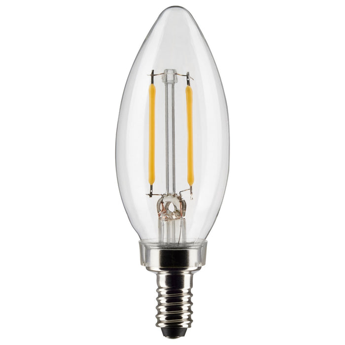 Satco S21262 Light Bulb, Clear Main Image.jpg