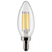 Satco S21266 Light Bulb, Clear Main Image.jpg