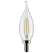 Satco S21294 Light Bulb, Clear Main Image.jpg