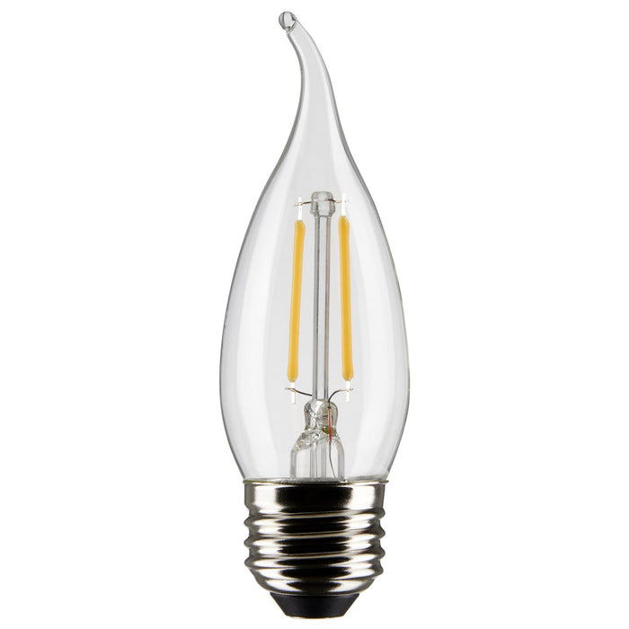 Satco S21310 Light Bulb, Clear Main Image.jpg
