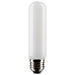Satco S21348 Light Bulb, Frost Main Image.jpg