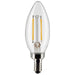 Satco S21817 Light Bulb, Clear Main Image.jpg
