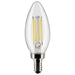 Satco S21829 Light Bulb, Clear Main Image.jpg