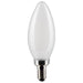 Satco S21831 Light Bulb, Frost Main Image.jpg