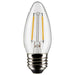 Satco S21832 Light Bulb, Clear Main Image.jpg