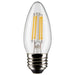 Satco S21835 Light Bulb, Clear Main Image.jpg