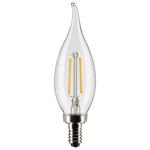 Satco S21839 Light Bulb, Clear Main Image.jpg