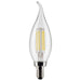 Satco S21840 Light Bulb, Clear Main Image.jpg