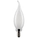 Satco S21844 Light Bulb, Frost Main Image.jpg