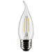 Satco S21848 Light Bulb, Clear Main Image.jpg
