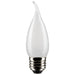 Satco S21851 Light Bulb, Frost Main Image.jpg