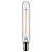 Satco S21861 Light Bulb, Clear Main Image.jpg